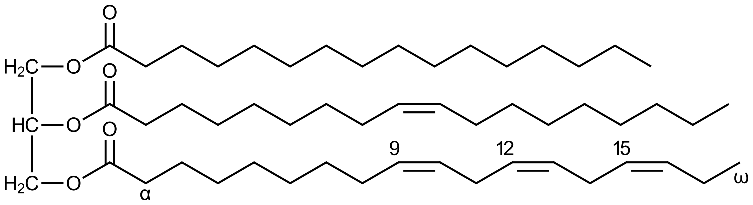 不饱和甘油三酯脂肪的例子。左侧部分：甘油, 右侧部分从上到下：棕榈酸，油酸，α-亚麻酸。化学式: C55H98O6